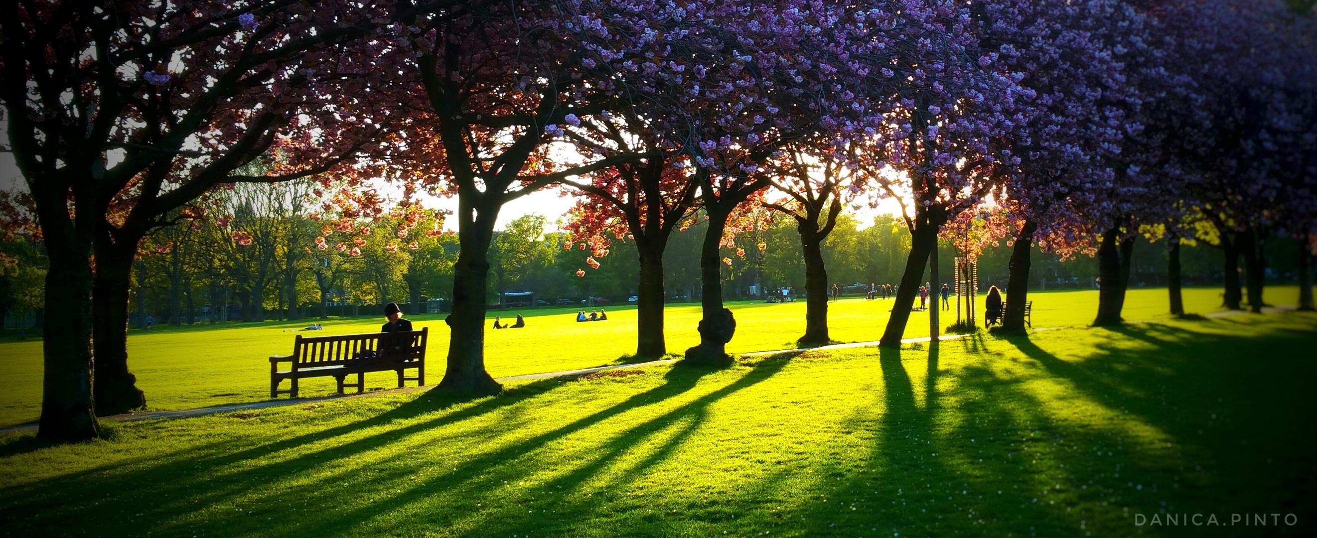 The Meadows, Edinburgh. photo (c) Danica.Pinto on Instagram